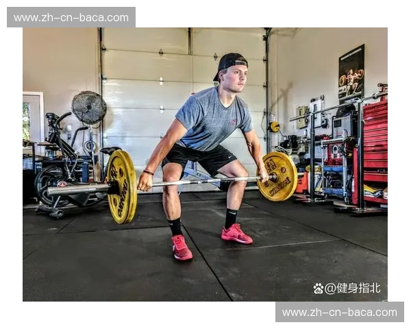 健美集锦：力量与美的视觉之旅